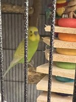 IMG_4293.jpeg