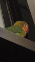 IMG_2416.jpg
