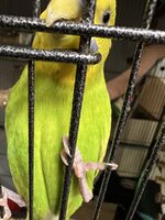 IMG_4317.jpeg