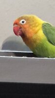 IMG_2436.jpg