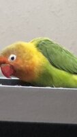 IMG_2437.jpg
