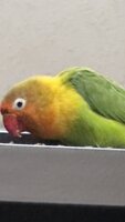 IMG_2438.jpg