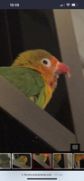 IMG_7953.png