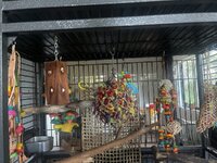 IMG_6695.jpeg