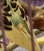 SmartSelect_20240413_085609_Gallery.jpg