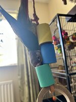 IMG_8463.jpeg