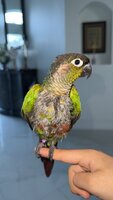IMG_0773.jpeg