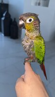IMG_0774.jpeg