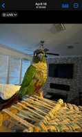 IMG_0777.jpeg