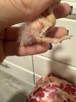 IMG_0383.jpeg