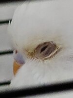 20240522_144354.jpg