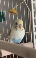 IMG_6241.jpeg