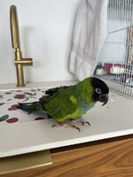 IMG_1589.jpeg
