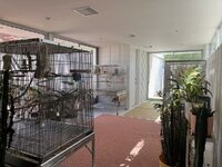 IMG_1516.jpeg