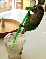 IMG_0218.jpeg