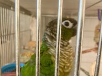 IMG_4777.jpeg