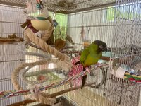 IMG_4776.jpeg