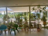 IMG_1609.jpeg