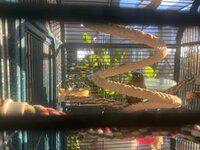 IMG_4780.jpeg