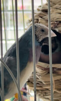 IMG_1179.jpeg