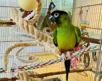 IMG_4795.jpeg