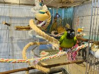 IMG_4796.jpeg