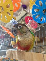 IMG_9284.jpeg