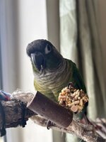 IMG_9300.jpeg