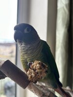 IMG_9301.jpeg