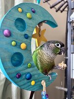 IMG_9306.jpeg