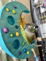 IMG_9308.jpeg