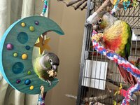 IMG_9307.jpeg