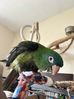 IMG_9295.jpeg