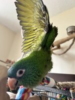 IMG_9296.jpeg