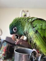IMG_9298.jpeg