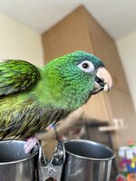 IMG_9299.jpeg