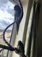 IMG_9304.jpeg