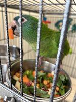 IMG_9317.jpeg