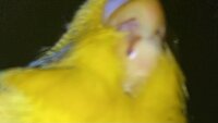 IMG_6747.jpeg