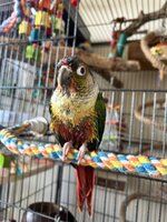 IMG_9368.jpeg
