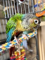 IMG_9369.jpeg