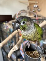 IMG_9372.jpeg