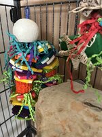 IMG_9426.jpeg