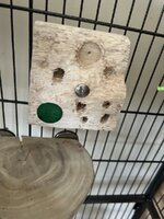 IMG_9427.jpeg