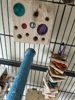 IMG_9428.jpeg