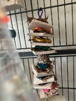 IMG_9429.jpeg
