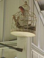 image0000.jpeg