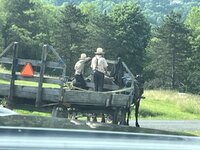 IMG_4330.jpeg