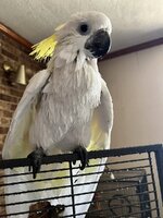IMG_0580.jpeg
