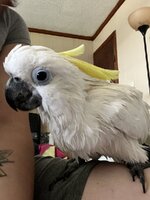 IMG_0584.jpeg